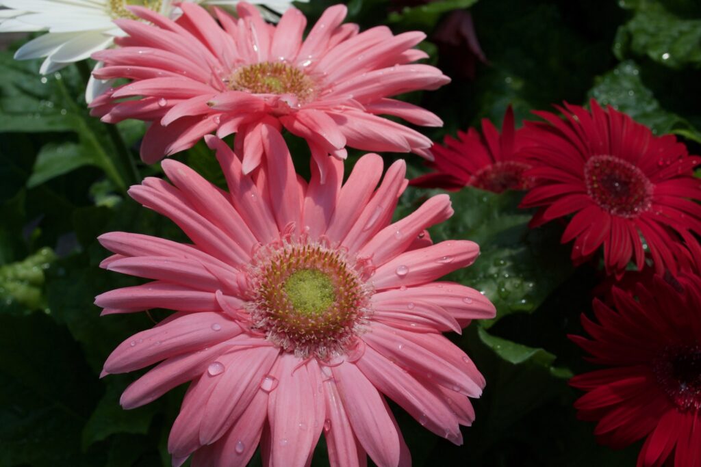 f8be0d9b 5065 4b79 a054 b2ad4accfbb4