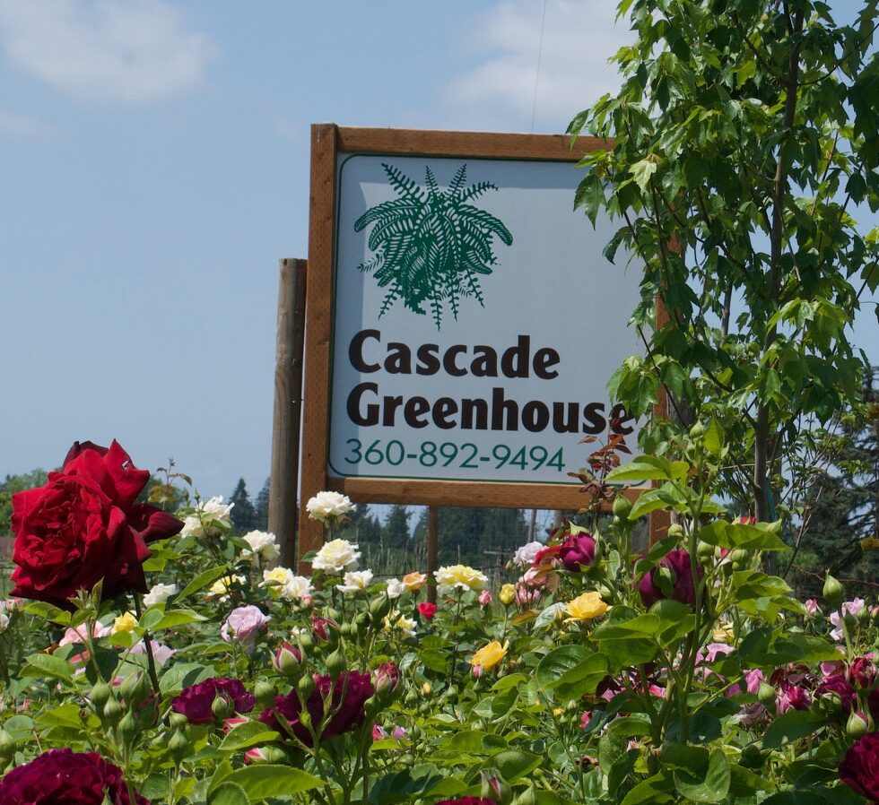 25d5a813 7a5c 488d a639 e6ea67a61dd0